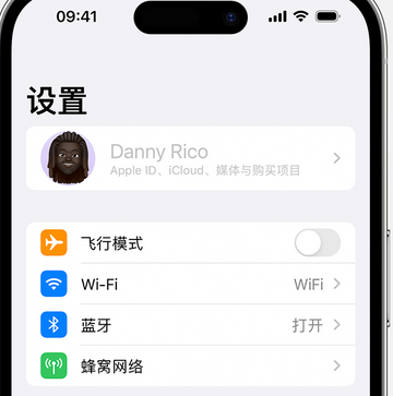 左贡appleID维修服务iPhone设置中Apple ID显示为灰色无法使用 