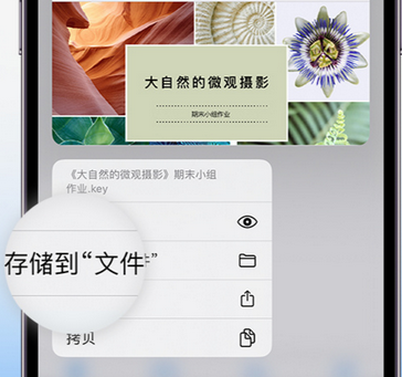 左贡apple维修中心分享iPhone文件应用中存储和找到下载文件