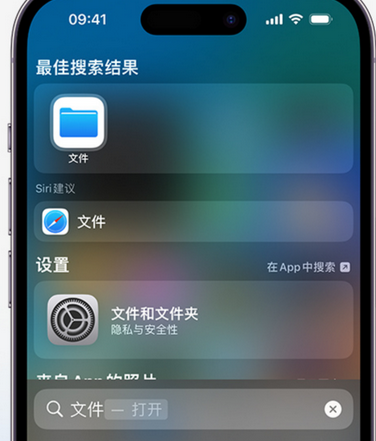 左贡apple维修中心分享iPhone文件应用中存储和找到下载文件 