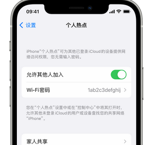 左贡apple服务站点分享iPhone上个人热点丢失了怎么办 