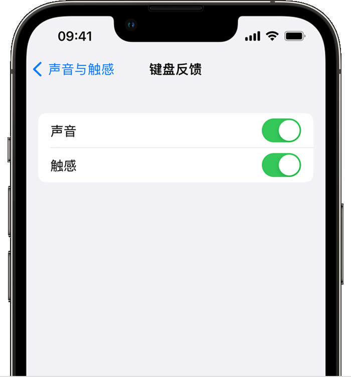 左贡苹果14维修店分享如何在 iPhone 14 机型中使用触感键盘 