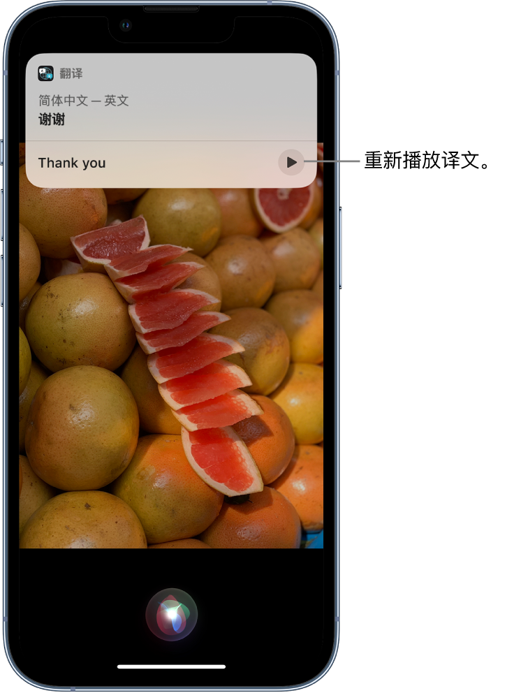 左贡苹果14维修分享 iPhone 14 机型中使用 Siri：了解 Siri 能帮你做什么 