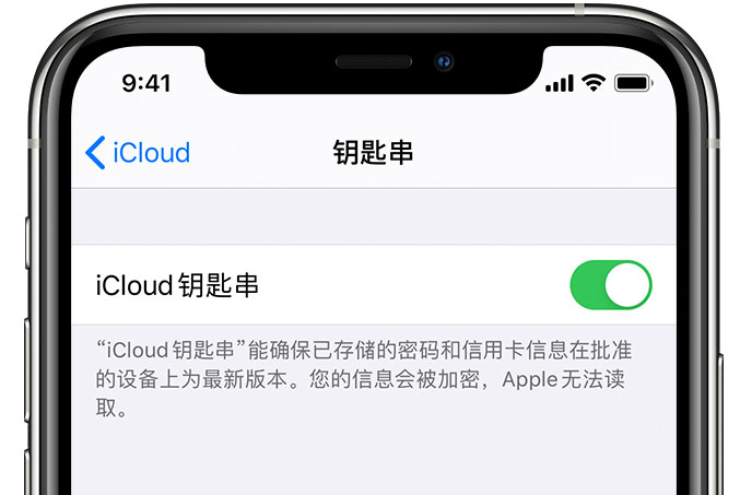 左贡苹果手机维修分享在 iPhone 上开启 iCloud 钥匙串之后会储存哪些信息 